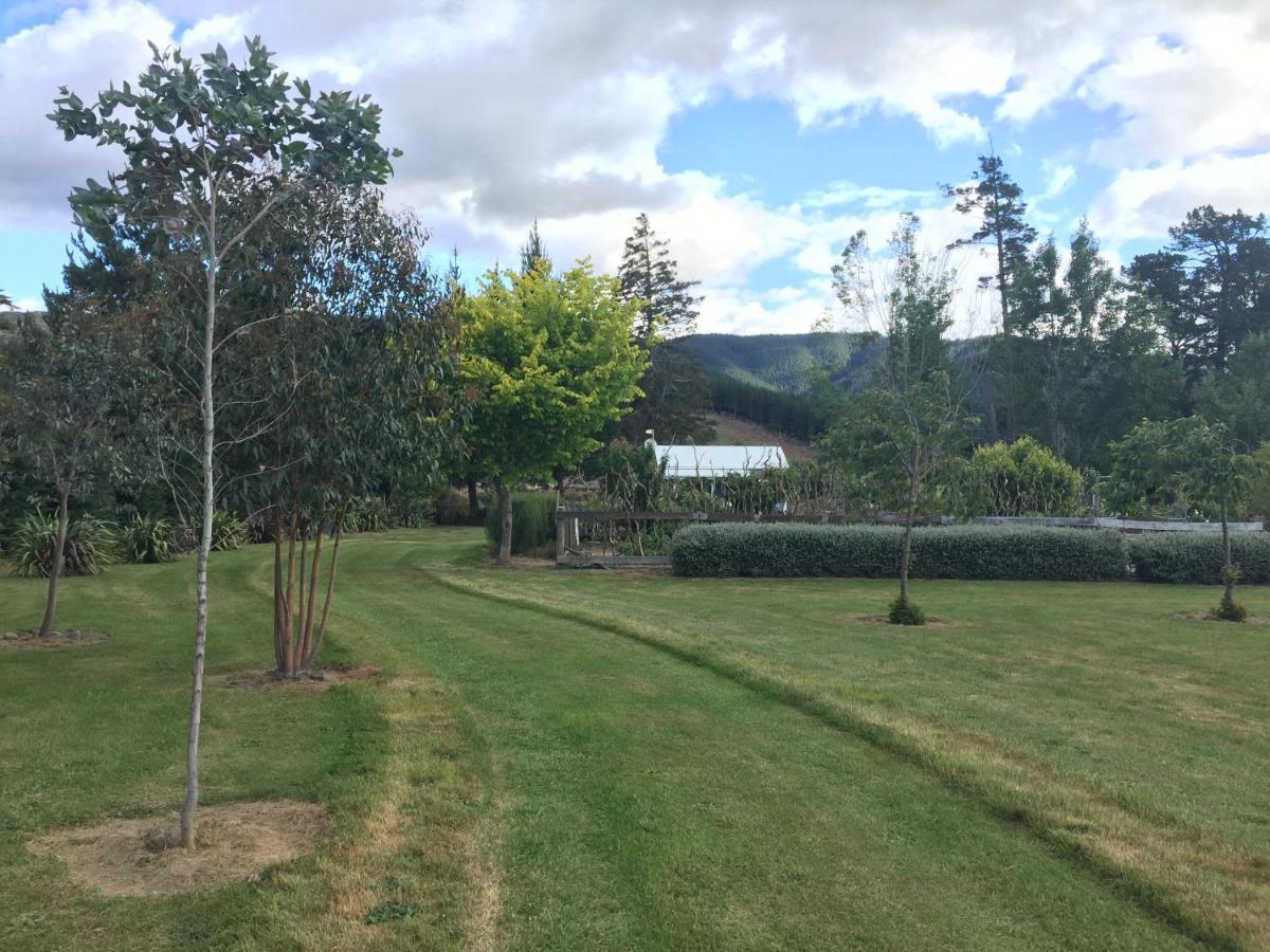 Birch Hill Cottage -30 Minutes From St Arnaud Wairau Valley Exterior photo